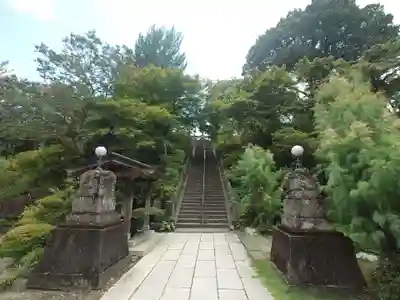 達磨寺(群馬県)