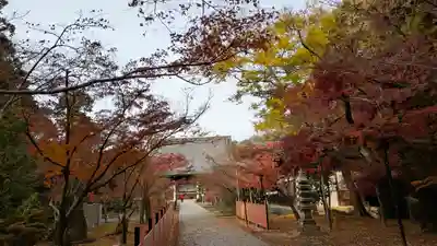 光明寺（粟生光明寺）(京都府)