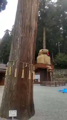 安志加茂神社(兵庫県)
