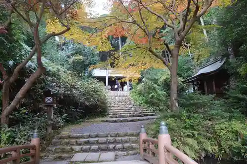 日向大神宮(京都府)