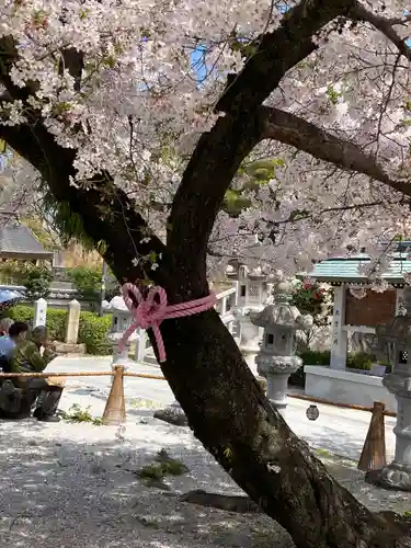 伊和志津神社(兵庫県)
