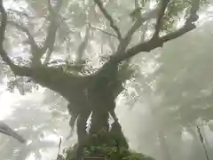 熊野皇大神社(長野県)