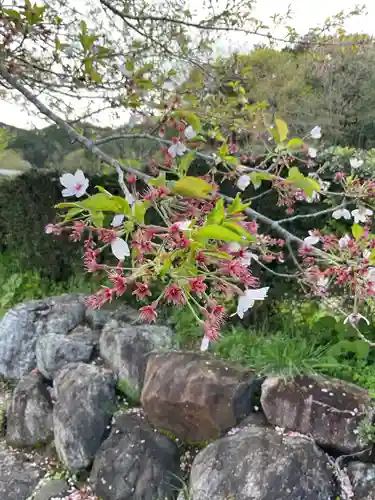 恵利寺の庭園