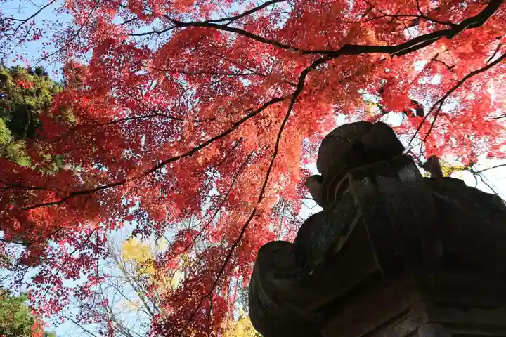 神炊館神社 ⁂奥州須賀川総鎮守⁂の自然