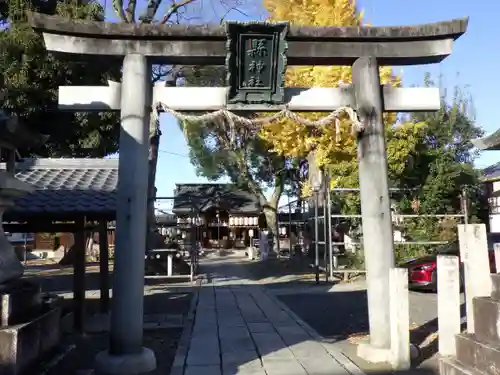 縣神社の鳥居
