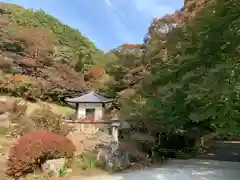 普門寺(切り絵御朱印発祥の寺)の自然