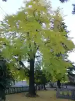 赤崎神社(山口県)