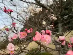 大生郷天満宮(茨城県)