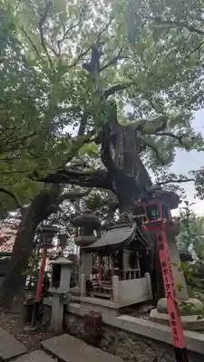 若一神社(京都府)