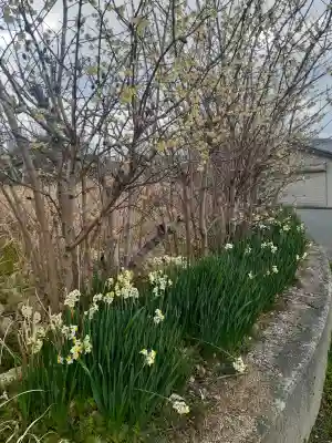 風の森神社の{uncategorized: "未分類", other: "その他", undefined: "問題あり", building: "その他建物", grave: "お墓", sacred_gate: "鳥居", guardian: "狛犬", statue: "像", buddha: "仏像", history: "歴史", nature: "自然", garden: "庭園", animal: "動物", pagoda: "塔", temizu: "手水舎", mountain_gate: "山門・神門", sanctuary: "本殿・本堂", subordinate: "末社・摂社", art: "芸術", scenery: "景色", jizo: "地蔵", ema: "絵馬", goshuin: "御朱印", omikuji: "おみくじ", items: "授与品その他", amulet: "お守り", goshuincho: "御朱印帳", eats: "食事", festival: "お祭り", votive_dance: "神楽", shichigosan: "七五三参", wedding: "結婚式", experience: "体験その他", initially: "初詣", around: "周辺", anti_infection: "感染症対策"}