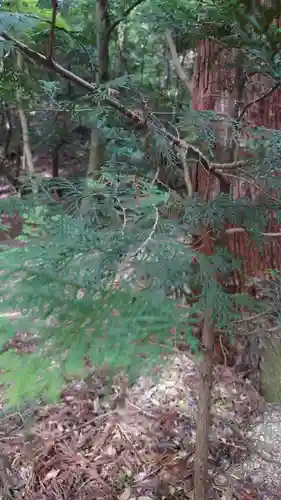 星田妙見宮(大阪府)