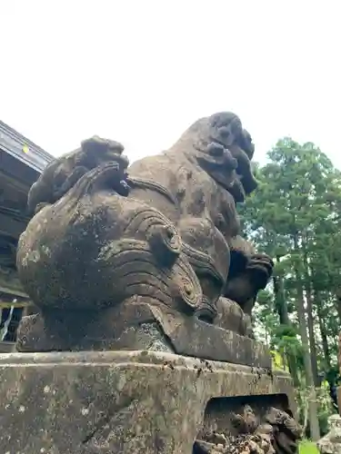 横山神社の狛犬