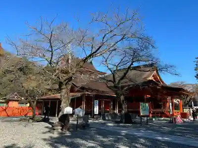 富士山本宮浅間大社(静岡県)