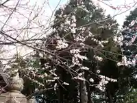 冨士御室浅間神社(山梨県)