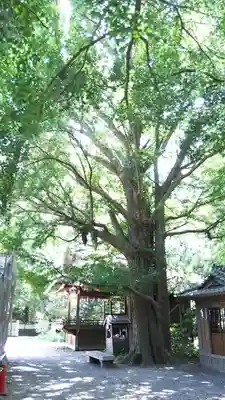 玉敷神社のその他建物