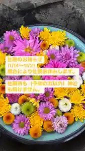 大鏑神社(福島県) 2024年11月13日(水)〜(2024年11月13日(水) 19時32分29秒投稿)