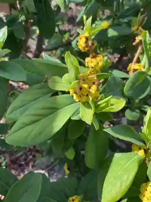 八事山 興正寺(愛知県)