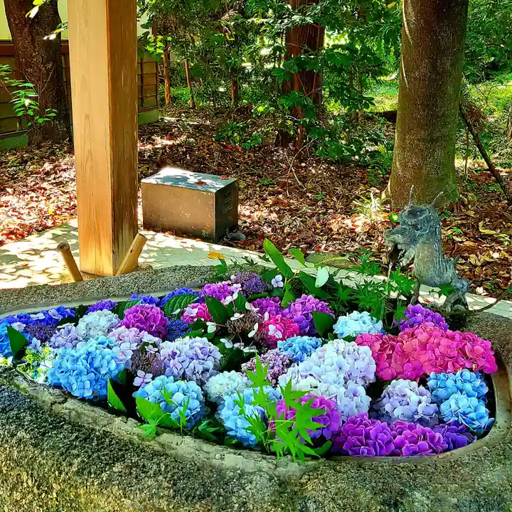 井伊谷宮の手水舎