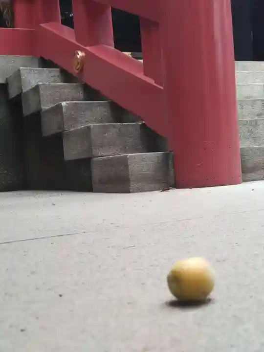 居木神社の自然