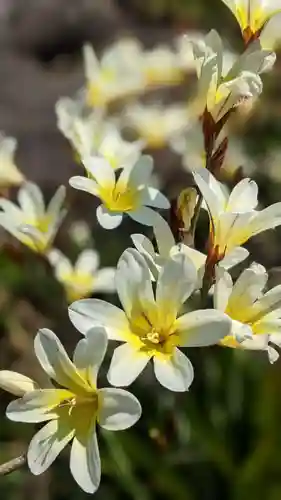 本勝寺(静岡県)