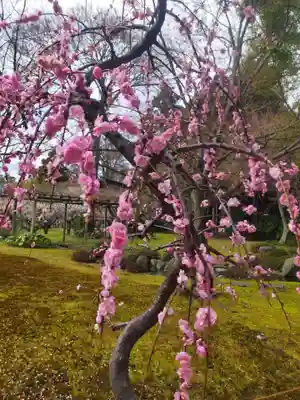 城南宮(京都府)