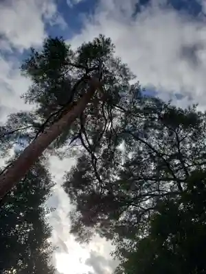 下高井戸八幡神社(東京都)