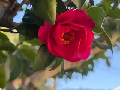 西方山極楽寺(岐阜県)