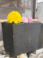 上尾御嶽神社の手水舎