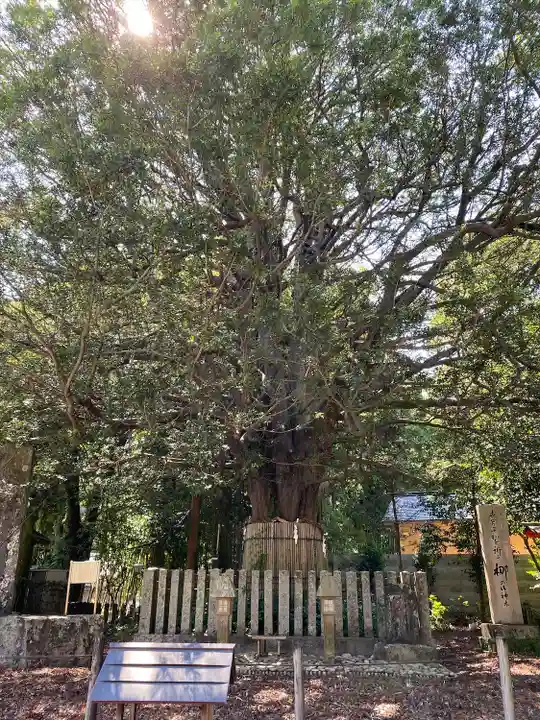 熊野速玉大社の自然