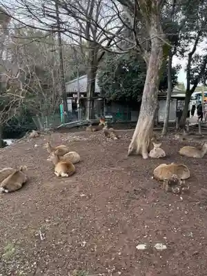 東大寺(奈良県)