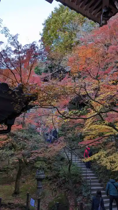 禅林寺(永観堂)(京都府)