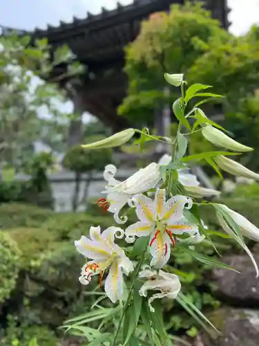 陽林寺(福島県)