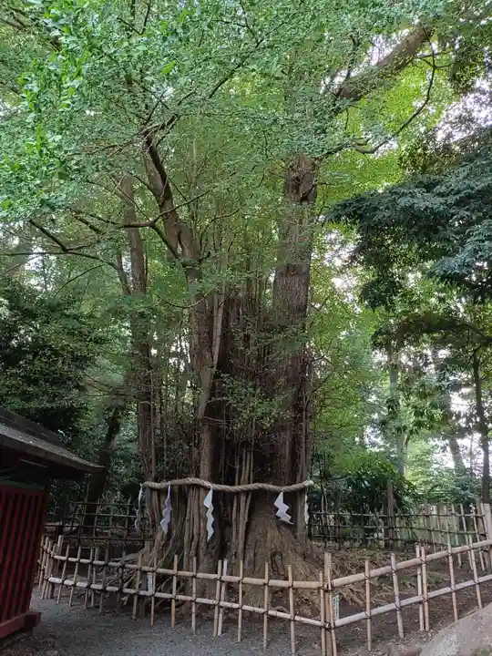 大國魂神社(東京都)