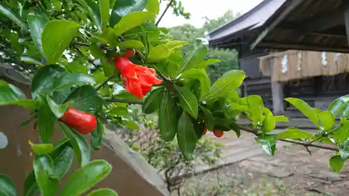 蛟蝄神社門の宮の自然