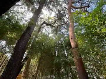 正一位稲荷大明神(東京都)