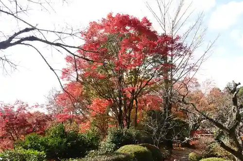 三室戸寺(京都府)