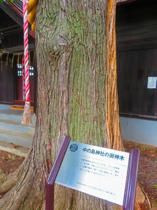 中の島神社(北海道)