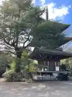 東禅寺(東京都)