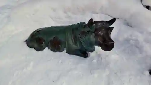 上川神社の狛犬