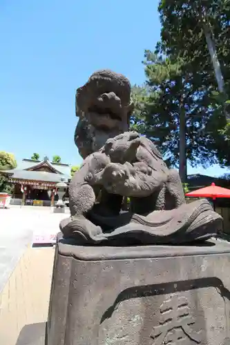 中野沼袋氷川神社の狛犬