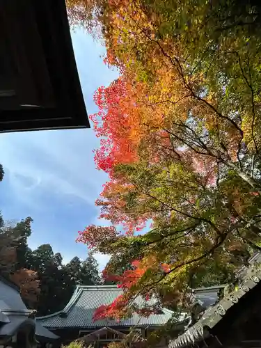 比叡山延暦寺(滋賀県)