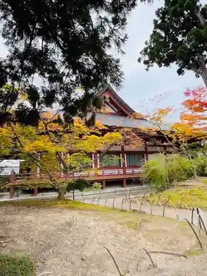 毛越寺(岩手県)