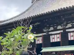 鶴林寺の本殿