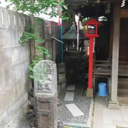 雷電稲荷神社の狛犬