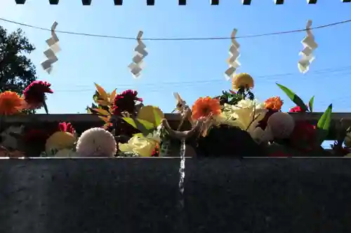 豊景神社の手水舎