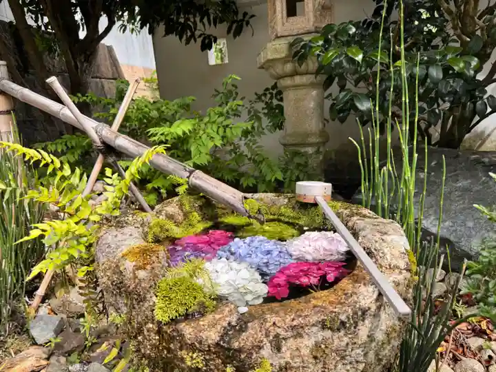 柳谷観音 楊谷寺(京都府)