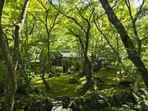 法寳閣檀林寺(京都府)