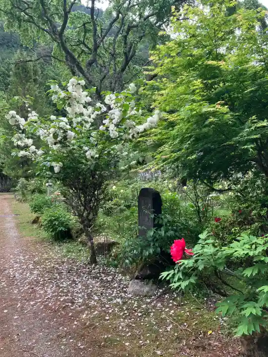 妙雲寺(栃木県)