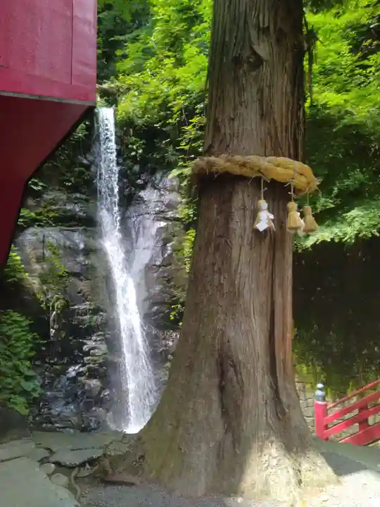 大正寺(中野不動尊)(福島県)