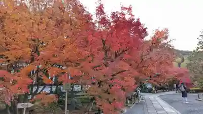 禅林寺(永観堂)(京都府)